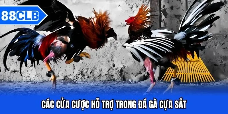 Đá Gà Cựa Sắt 88CLB - Bắt Kèo Chiến Kê Siêu Đỉnh Năm 2026 Đá Gà Cựa Sắt 88CLB - Bắt Kèo Chiến Kê Siêu Đỉnh Năm 2026