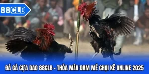 Đá Gà 88CLB - Thần Kê Đại Chiến Kinh Điển