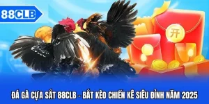 Đá Gà 88CLB - Thần Kê Đại Chiến Kinh Điển