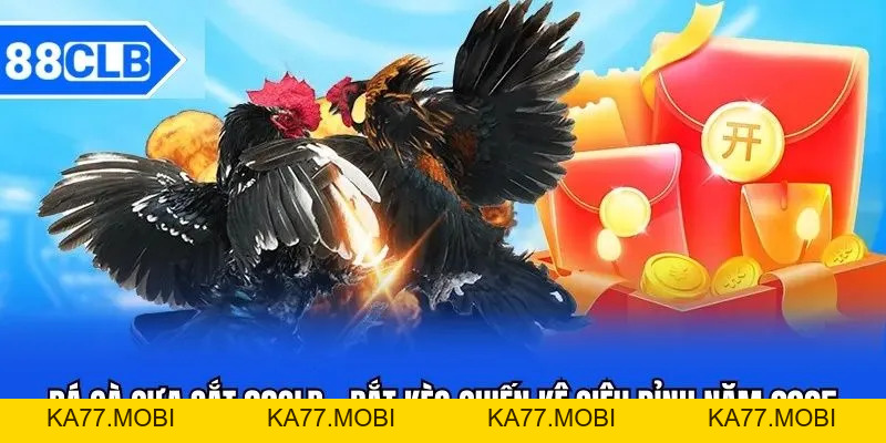 Đá Gà Cựa Sắt 88CLB - Bắt Kèo Chiến Kê Siêu Đỉnh Năm 2026 Đá Gà Cựa Sắt 88CLB - Bắt Kèo Chiến Kê Siêu Đỉnh Năm 2026