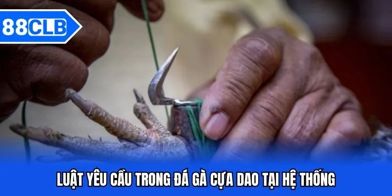 Đá Gà Cựa Dao 88CLB - Chọi Chiến Kê Cực Đỉnh 2026 Đá Gà Cựa Dao 88CLB - Chọi Chiến Kê Cực Đỉnh 2026