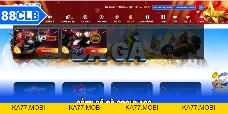 Đá Gà 88CLB - Thần Kê Đại Chiến Kinh Điển