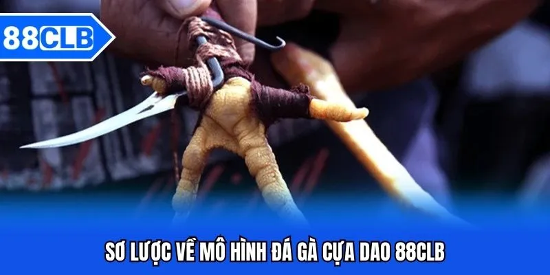 Đá Gà Cựa Dao 88CLB - Chọi Chiến Kê Cực Đỉnh 2026 Đá Gà Cựa Dao 88CLB - Chọi Chiến Kê Cực Đỉnh 2026