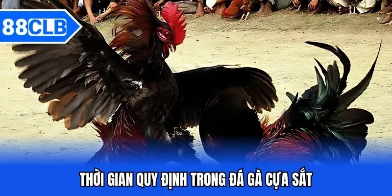 Đá Gà Cựa Sắt 88CLB - Bắt Kèo Chiến Kê Siêu Đỉnh Năm 2026 Đá Gà Cựa Sắt 88CLB - Bắt Kèo Chiến Kê Siêu Đỉnh Năm 2026