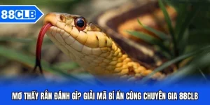 Xổ Số 88CLB - Cơ Hội Làm Giàu Dành Cho Mọi Người
